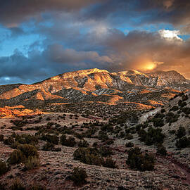 Golden Dreams by Howard Holley