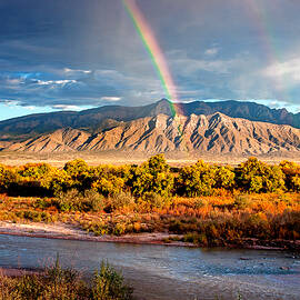 The Golden Bosque by Howard Holley
