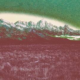 The Grand Tetons - Lichen textures by Bruce Block