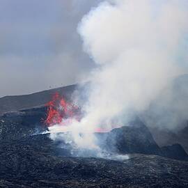The growing shield by Christopher Mathews