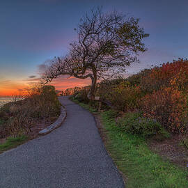The Heart of Ogunquit by Penny Polakoff