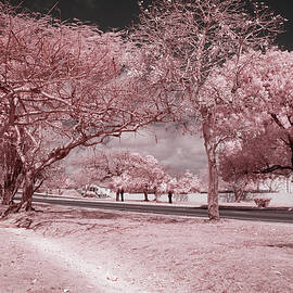 The Highway and The Byway by Gian Smith