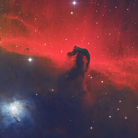 The Horsehead by Bruce Feagle