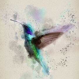 The Hummingbird by Ema Paraschiv