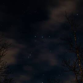 The Hunter by Jeff Sinon