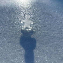 The Iceman Cometh by Richard Reeve