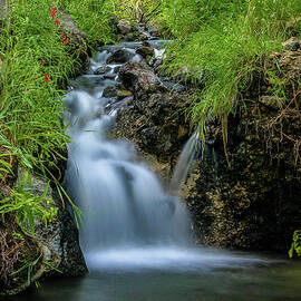The Jimez Hot Springs. by Tommy Farnsworth