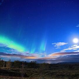 The Lady and the Moon by Christopher Mathews