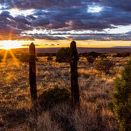 The Last Ember of Day