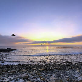 The Last Glide for the Day by Joe Schofield