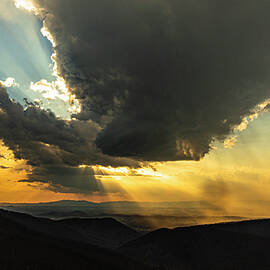 The Light by David Fountain