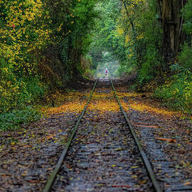 The Long Road Santa Cruz California by Tommy Farnsworth