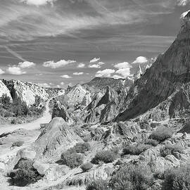 The Magic of Cottonwood Canyon Road Utah by Joe Schofield