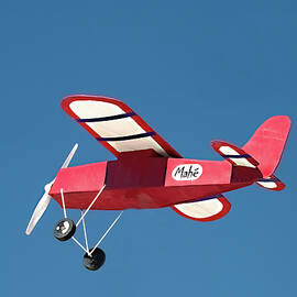 The Mahe Express by Joe Schofield