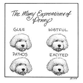 The Many Expressions of Penny by Harry Bliss