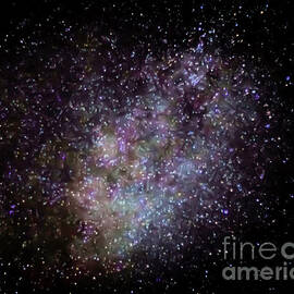 The Milky Way by Shirley Dutchkowski