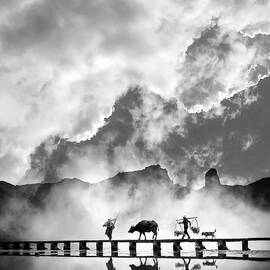 The mist by Sofie Conte