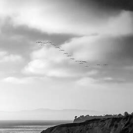 The Monochrome Return of the 22 by Joe Schofield