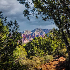 The Narrow Path by Jon Snyder