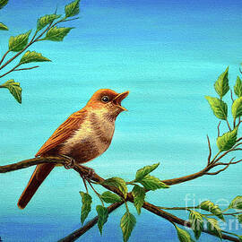 The Nightingale Still Sings by Sarah Irland