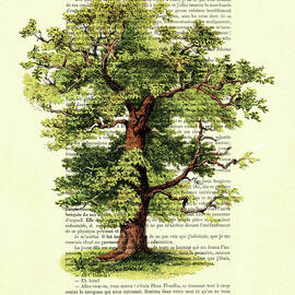 The Oak Tree by Madame Memento