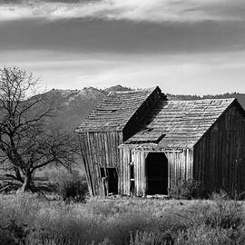The Old Barn Monochrome by Mike Lee