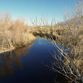 The Owens River Aquaduct by Joe Schofield