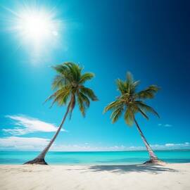 The Palm Trees by Land of Dreams