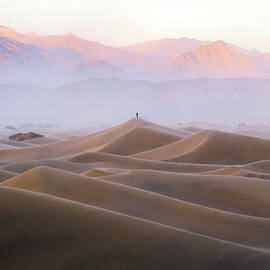 The Photographer by BJ Stockton
