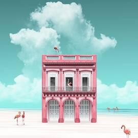 The Pink House by Moira Risen