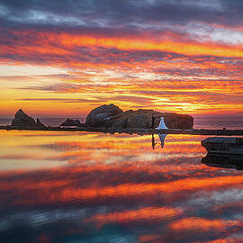 The Proposal by Louis Raphael