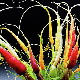 The Psychedelic Carrot Rodeo by Joe Schofield