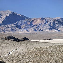 The Racetrack  by Joe Schofield