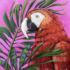 The Red Parrot by Lucia Stewart