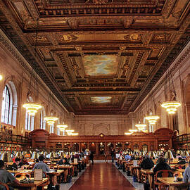 The Rose Reading Room II by Jessica Jenney