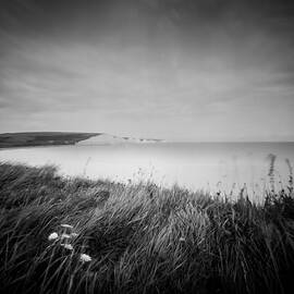 The Seven Sister's Sussex. by Will Gudgeon