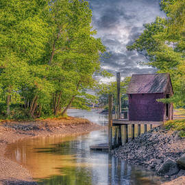 The Shack on Paddy Creek by Penny Polakoff