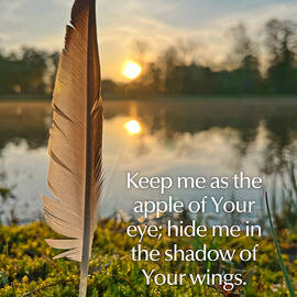 The Shadow of Your Wings by Greg Lane