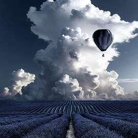 The Silent Ascent by Sofie Conte