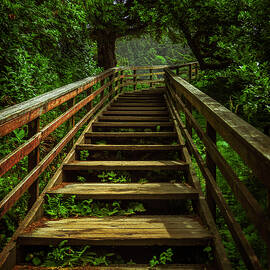 The Staircase by Kevin Schwalbe