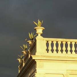 The Storm by Richard Reeve