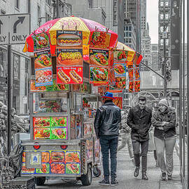 The Street Vendor by Penny Polakoff