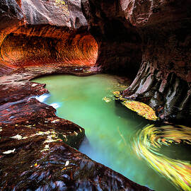 Swirled Sandstone in the Left Fork, Zion National Park, Utah by Edgars Erglis