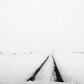 The Trip  by Mary Lee Dereske