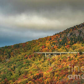 The Viaduct in Fall by Dodie Ross