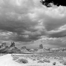 The Warriors Frozen in Stone by Joe Schofield