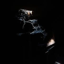 The Way Out by Richard Reeve