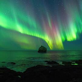 The Night Whale by Christopher Mathews