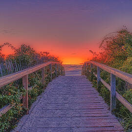 The World Awaits by Penny Polakoff