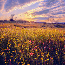The Yellow Masses by Slow Fuse Photography